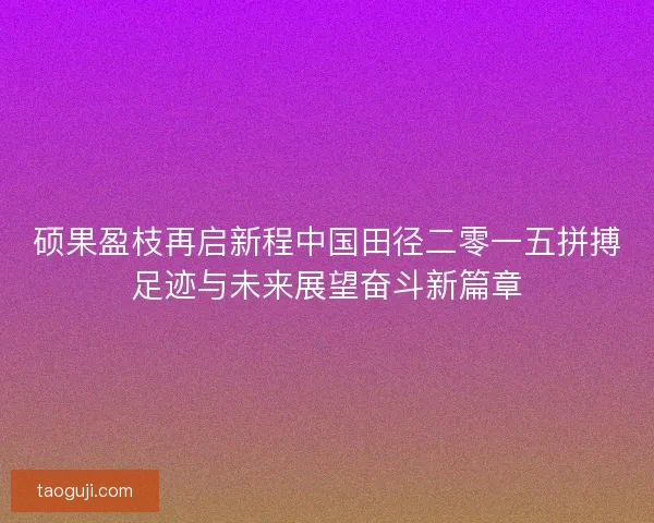 硕果盈枝再启新程中国田径二零一五拼搏足迹与未来展望奋斗新篇章